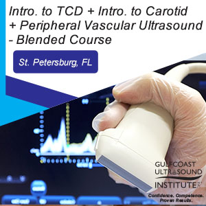 Blended Introduction to Transcranial Doppler and Introduction to Carotid/Peripheral Vascular Duplex/Color Flow Imaging